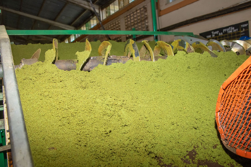 Inside the Kobel Tea Factory — photo 131