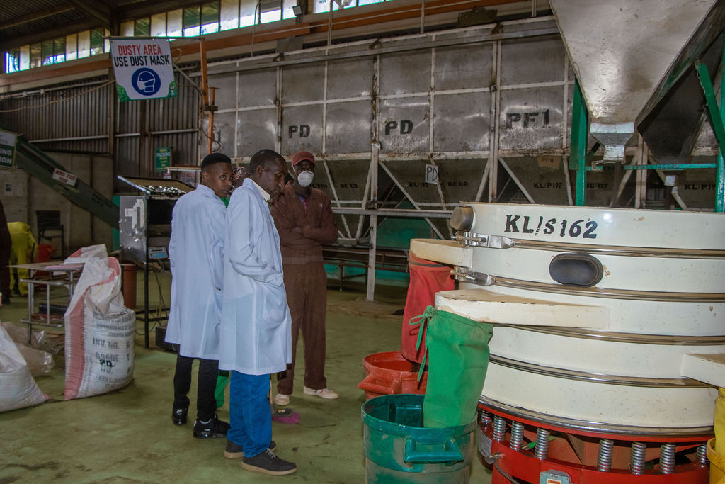 Inside the Kobel Tea Factory — photo 138