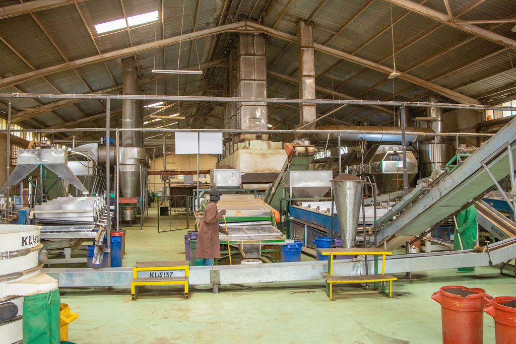 Inside the Kobel Tea Factory — photo 139