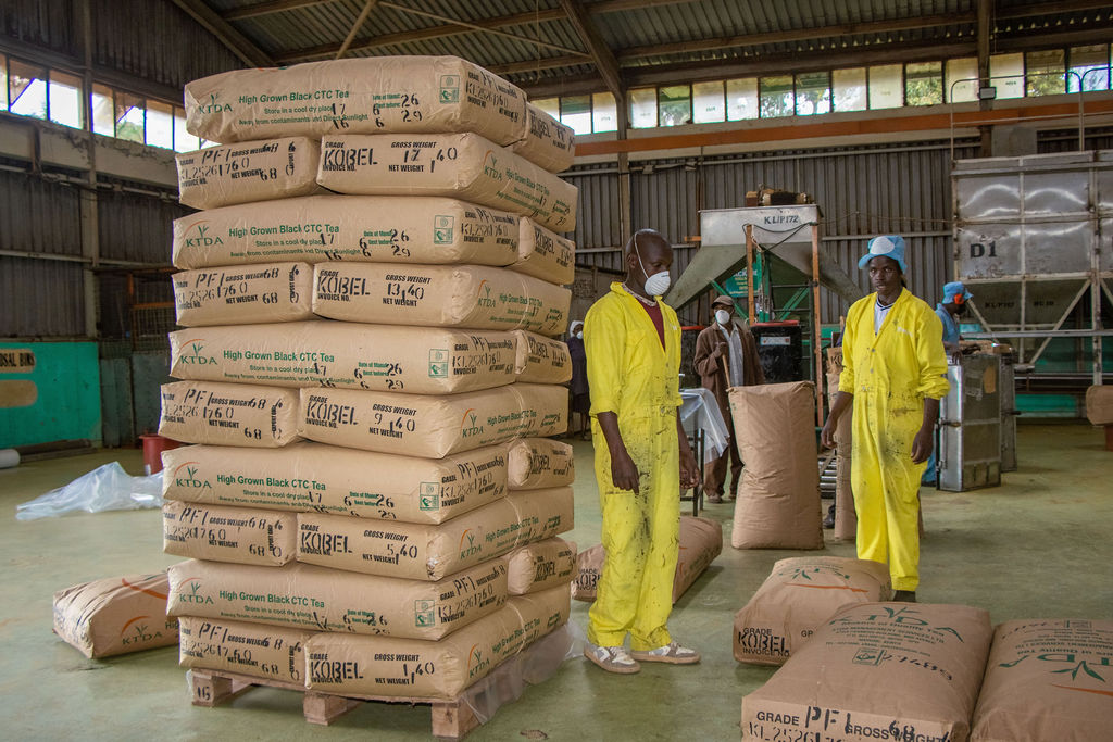 Inside the Kobel Tea Factory — photo 141
