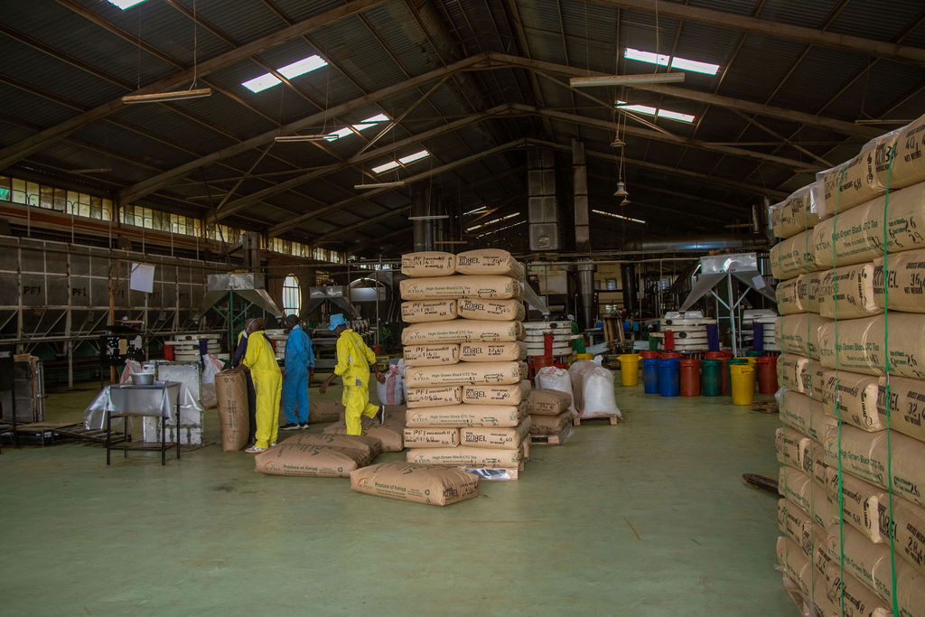 Inside the Kobel Tea Factory — photo 145