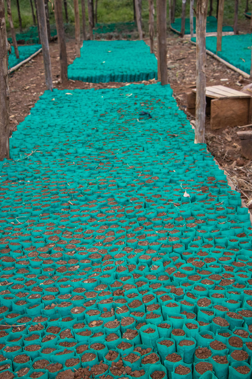 Inside the Kobel Tea Factory — photo 152