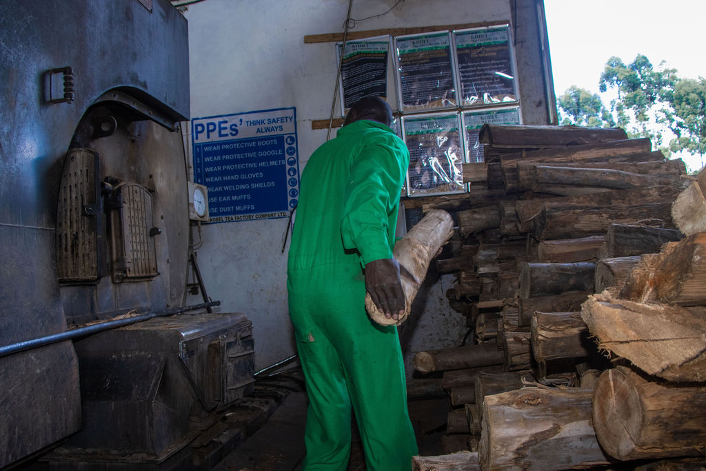 Inside the Kobel Tea Factory — photo 154