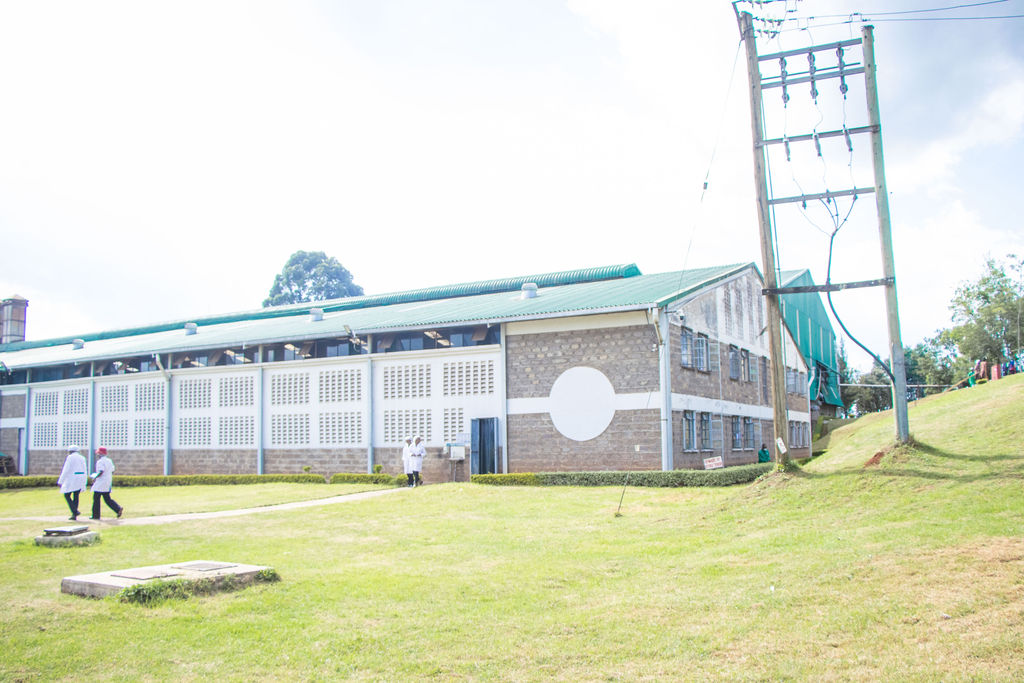 Inside the Kobel Tea Factory — photo 159