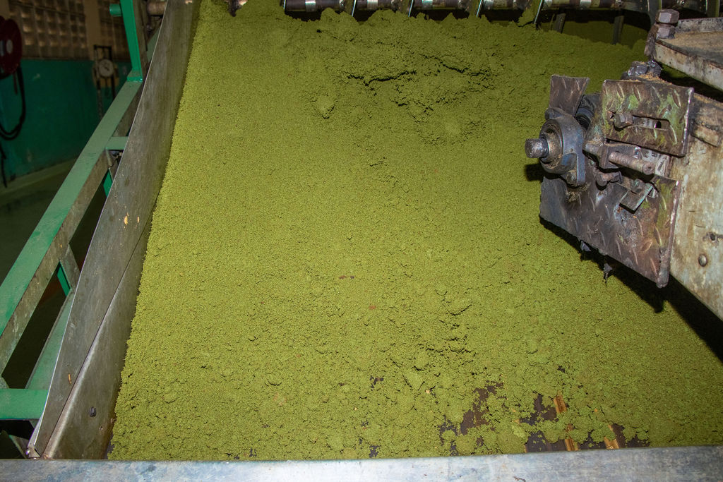Inside the Kobel Tea Factory — photo 160
