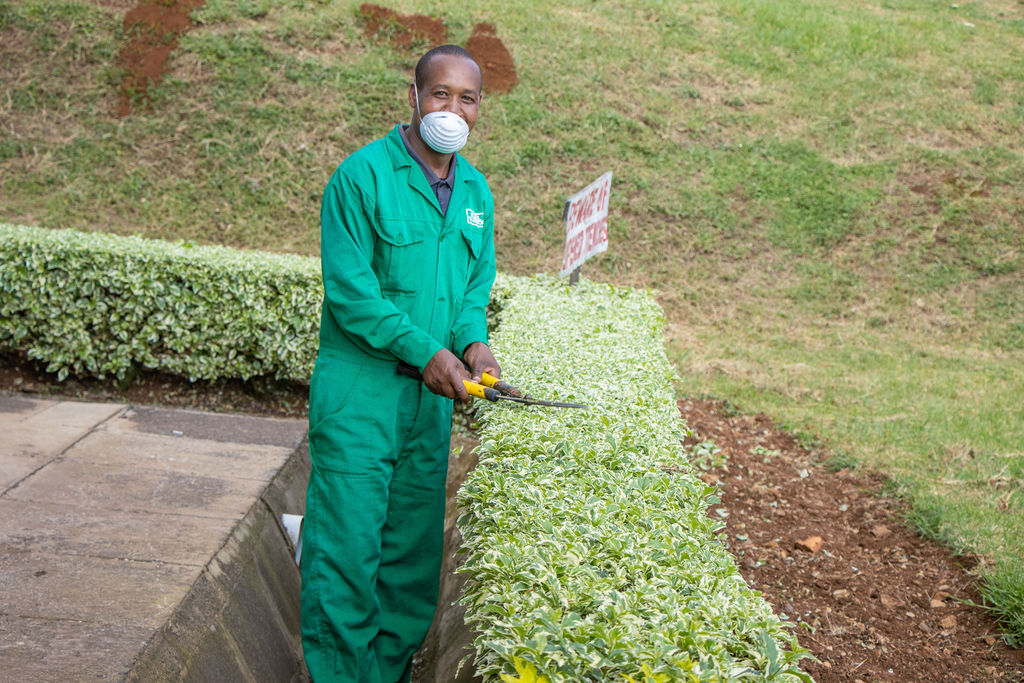 Inside the Kobel Tea Factory — photo 163