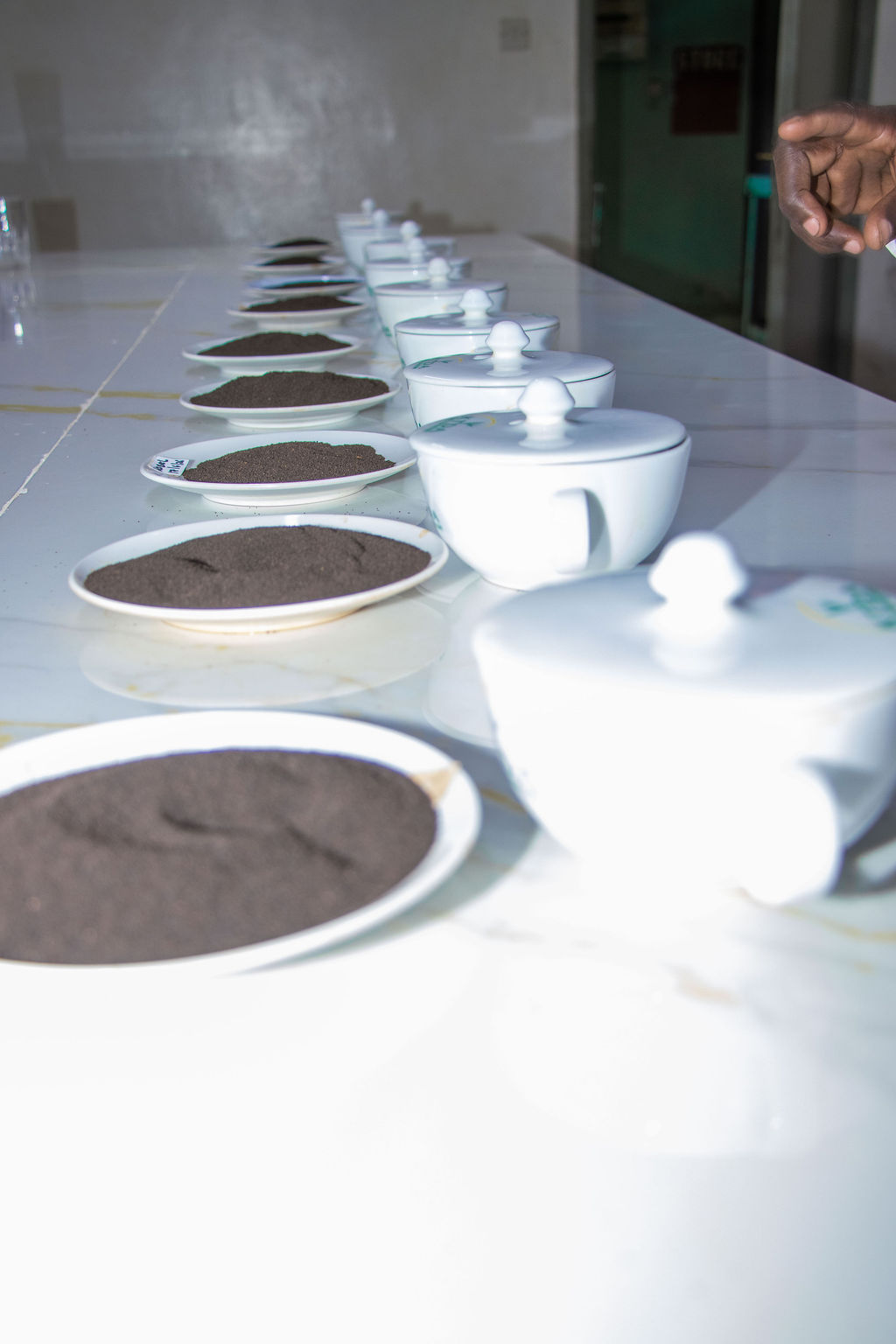 Inside the Kobel Tea Factory — photo 164
