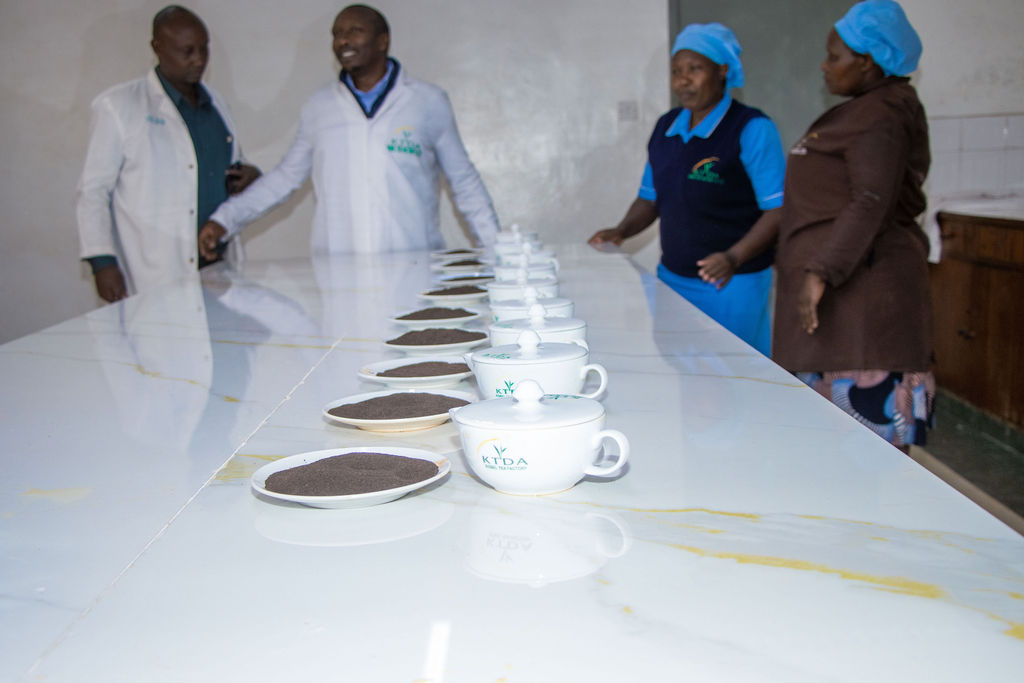 Inside the Kobel Tea Factory — photo 168