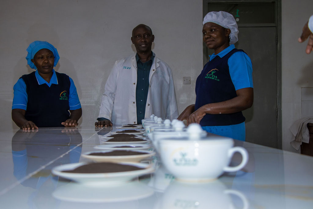 Inside the Kobel Tea Factory — photo 173