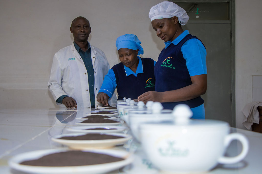 Inside the Kobel Tea Factory — photo 174