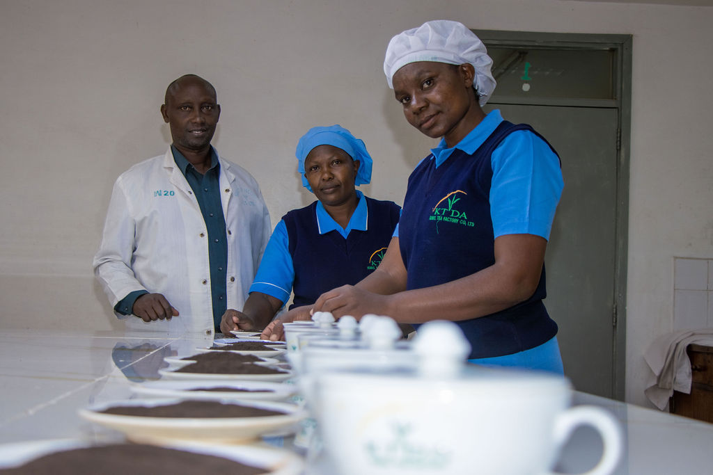 Inside the Kobel Tea Factory — photo 175