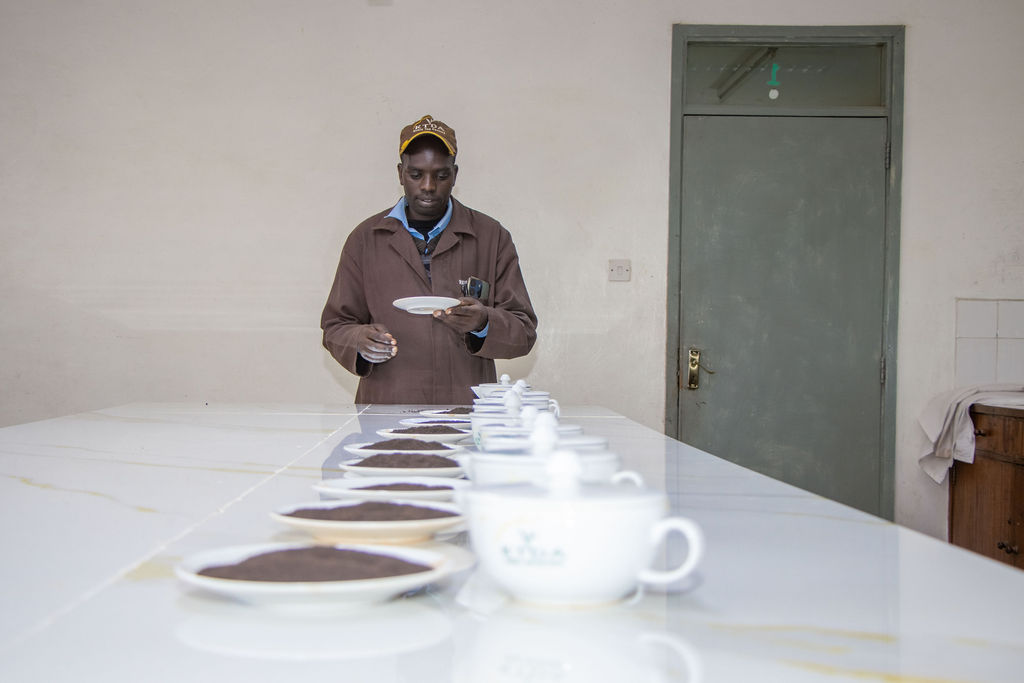 Inside the Kobel Tea Factory — photo 177