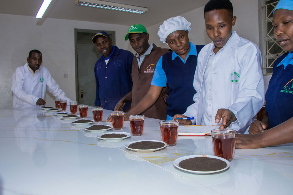 Inside the Kobel Tea Factory — photo 183