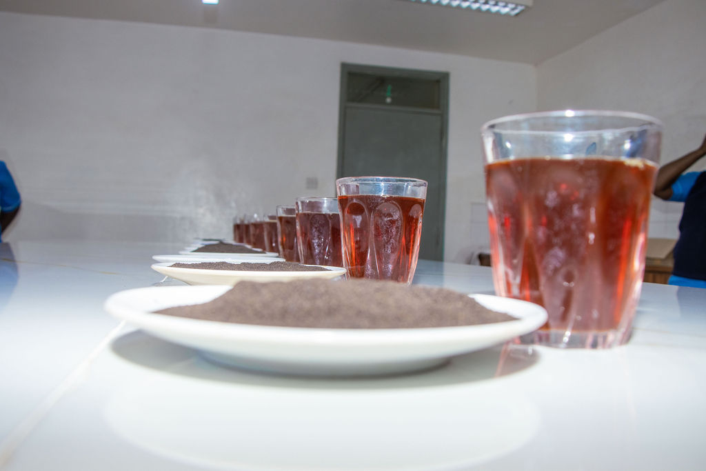 Inside the Kobel Tea Factory — photo 187