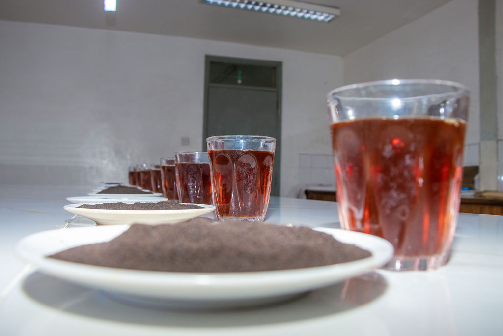 Inside the Kobel Tea Factory — photo 188