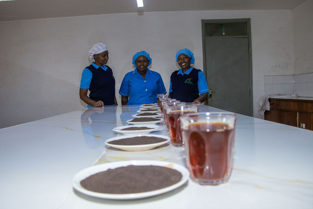Inside the Kobel Tea Factory — photo 189