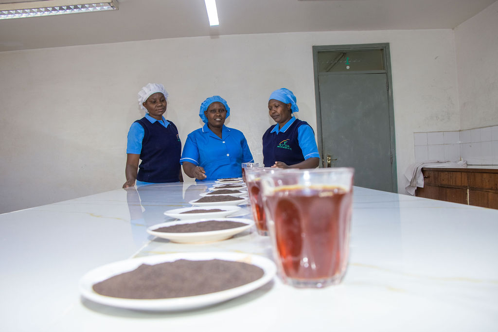 Inside the Kobel Tea Factory — photo 190