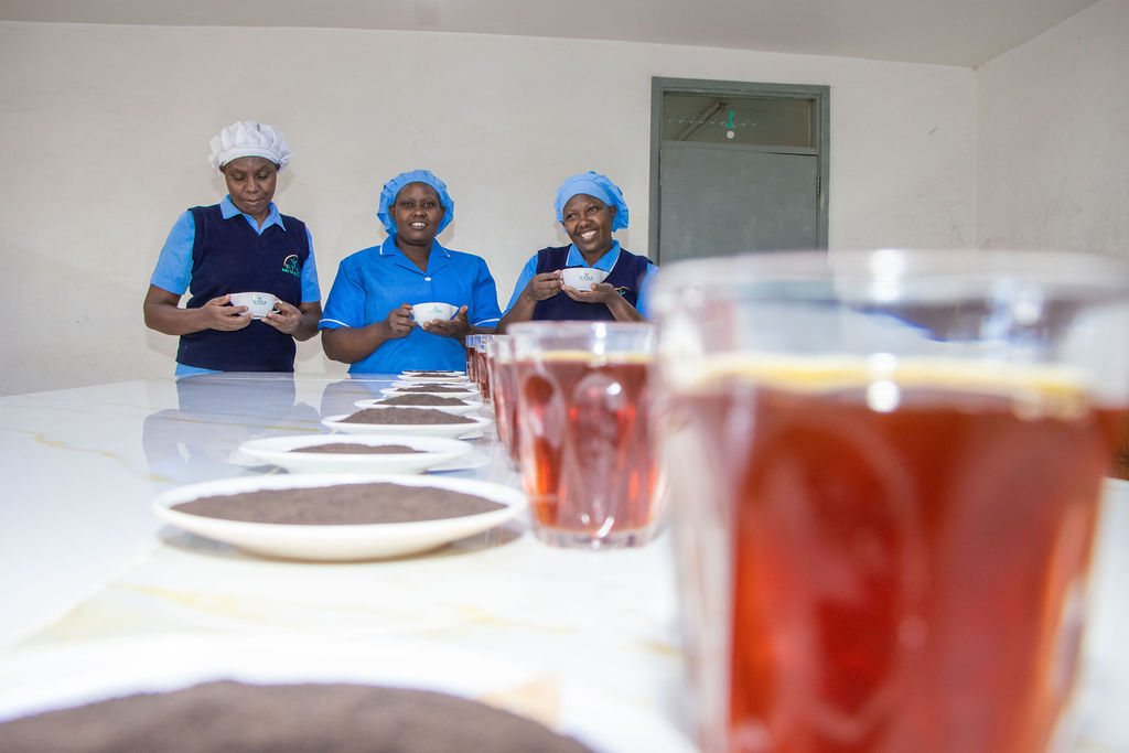 Inside the Kobel Tea Factory — photo 191