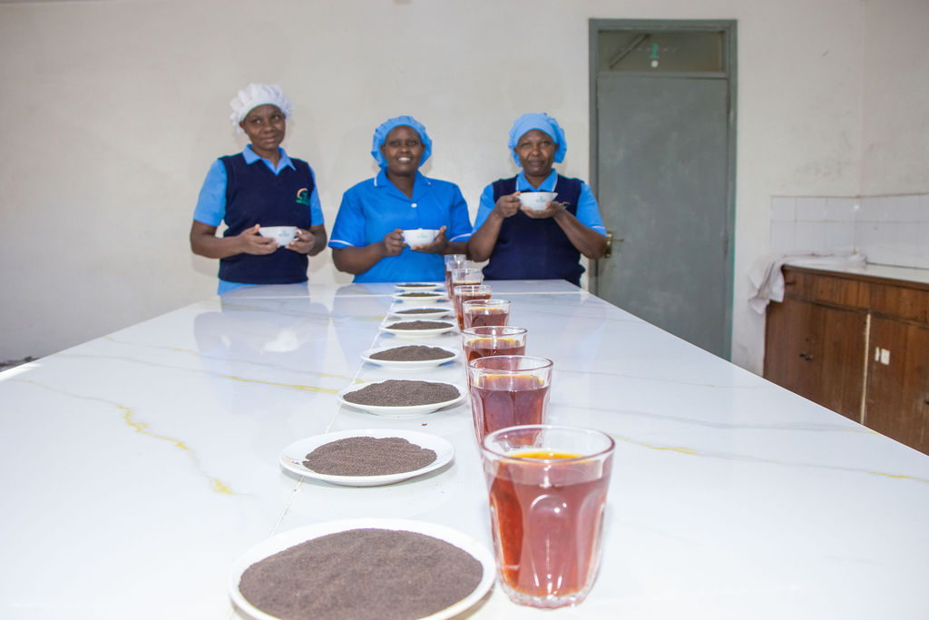 Inside the Kobel Tea Factory — photo 192